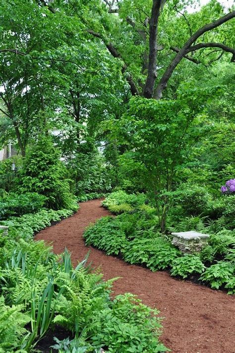 I love a woodland garden path 34 – gardenmagz.com | Shade garden, Woodland garden, Forest garden