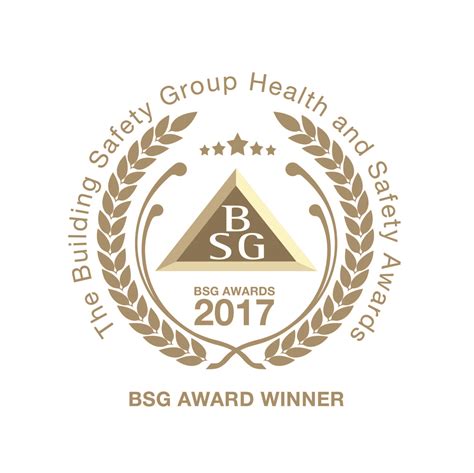 BSG_Award_Logo_flat_colour AWARD WINNER 2017 - Award Winning Civil ...