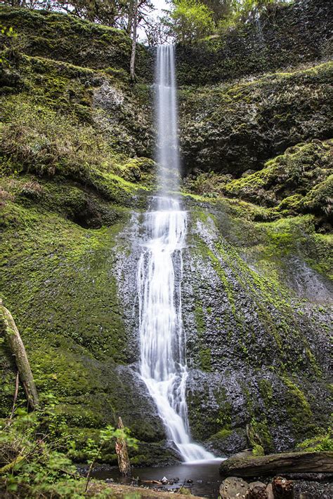 Winter Falls in Silver Falls State Park Photograph by John McGraw