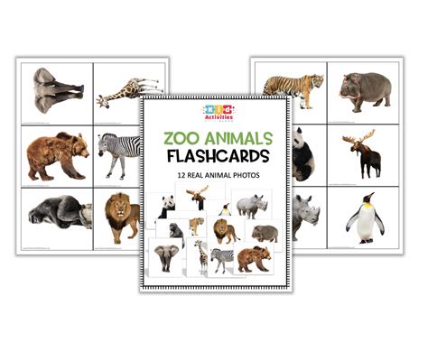 Zoo Realistic Animal Flashcards (PDF) - Kid Activities with Alexa