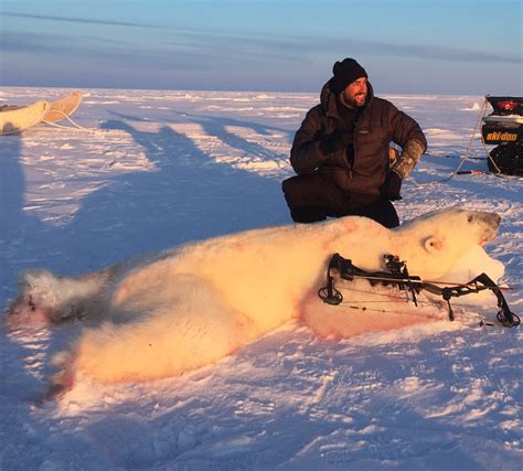 Canadian Arctic Polar Bear Hunt - Ameri-Cana Expeditions