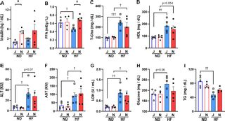 Metabolic differences and differentially expressed genes between C57BL/6J and C57BL/6N mice ...