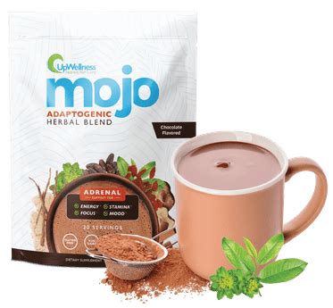 UpWellness Mojo Reviews - A Delicious Morning Energy Drink?