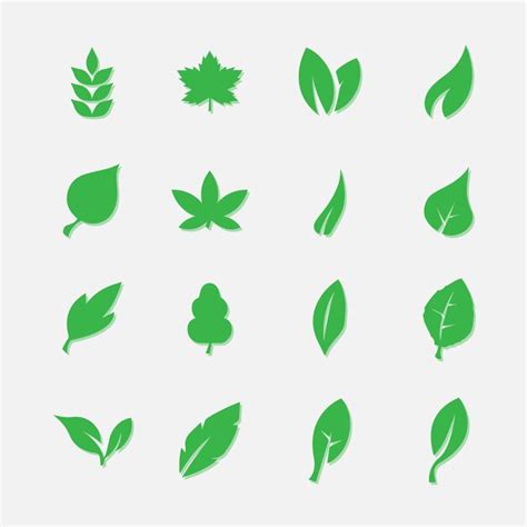 Premium Vector | Green leaf set vector design