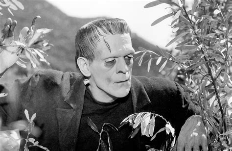 Playing God Across Eras: The Legacy of Frankenstein in Film