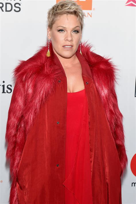 Pink Won't Apologize for Condemning Student Involved in Face-Off with ...