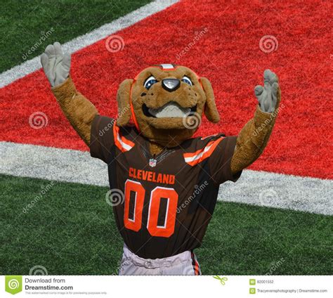 Chomps NFL Mascot The Cleveland Browns. NFL Cleveland Browns Mascot ...