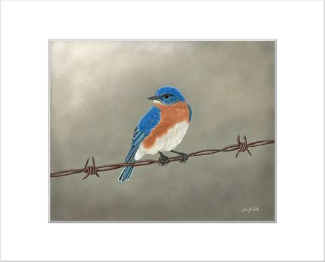 Eastern Bluebird Print Bird Art Painting Home Decor - Etsy