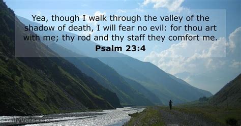 The Valley Of The Shadow Of Death Valley Walk Through Though Yea Bible Verses Inspirational ...