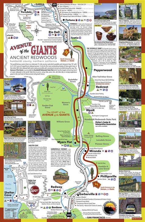 Avenue Of The Giants Map | California travel road trips, California ...