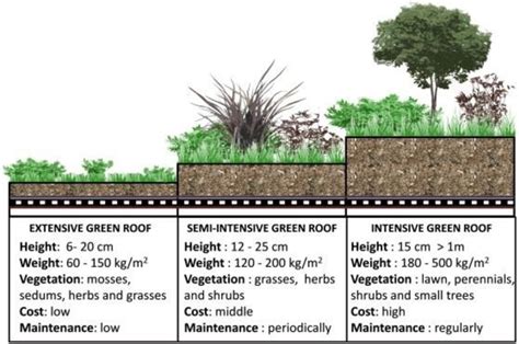 Summary of green roof types based on the International Green Roof ...