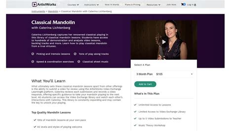 9 Best Mandolin Lessons for Beginners Review 2022 - CMUSE