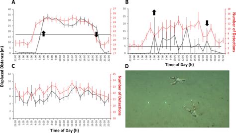 Waveform analysis outputs (mean values ± SE) on time series of... | Download Scientific Diagram