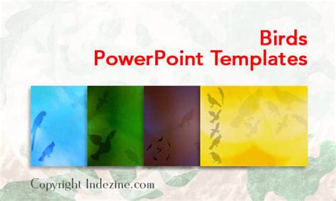 Birds PowerPoint Templates