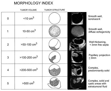 Diagnostics | Free Full-Text | Ultrasound Monitoring of Extant Adnexal Masses in the Era of Type ...