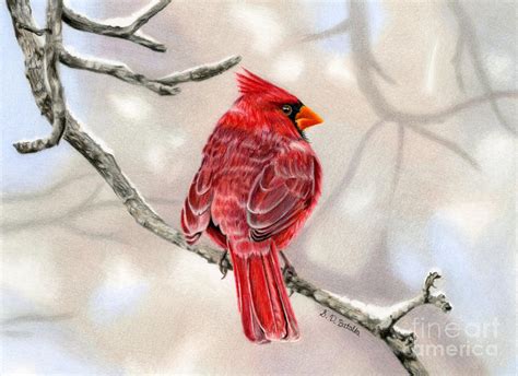 Winter Cardinal Painting by Sarah Batalka