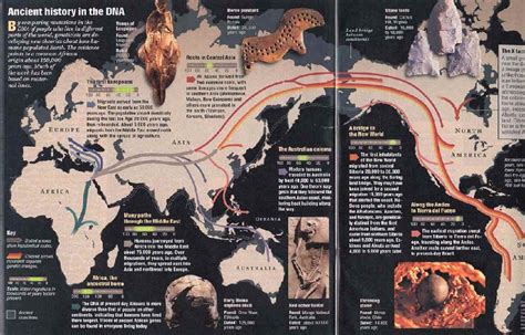 Y-chromosomal Adam | Tracking Down Mitichondrial "Adam and Eve" -- Courtesy of Return To ...