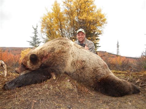 10-DAY GRIZZLY BEAR HUNT FOR 1 HUNTER IN THE YUKON