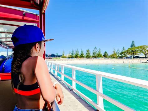 Busselton Jetty Underwater Observatory - Buggybuddys guide to Perth