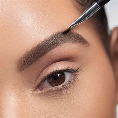 ¿Cómo tener cejas redondas? 5 Pasos fáciles para definir su forma curva