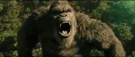 Godzilla Vs. Kong Gif - IceGif