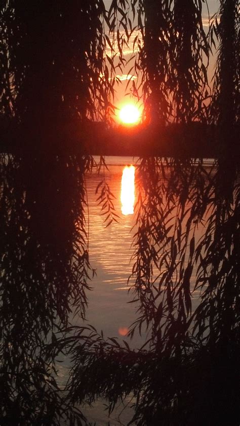 Lake Nokomis Sunset