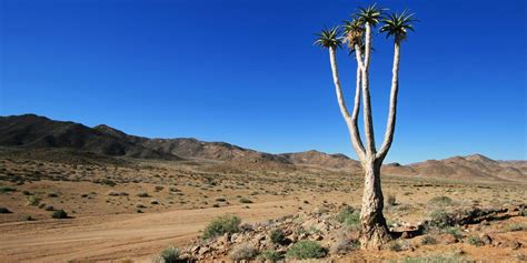 Northern Cape on Twitter: "Northern Cape attractions such as the ...