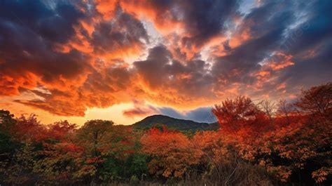 Colorful Sky Over A Mountain Showing Fall Trees Background, Autumn Sky ...