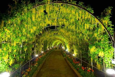 Wisteria Flower Tunnel, Japan - by Hideya HAMANO - HAMACHI!:Flickr Tree ...