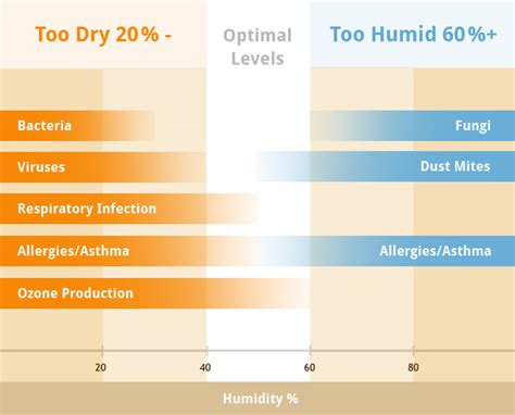 Best Indoor Humidity & How to Maintain It Effectively