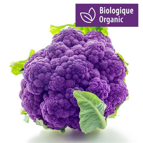 Purple Cauliflower Seeds VIOLET OF SICILY - Price €2.75