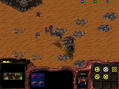 Starcraft brood war strategy - naturalnimfa