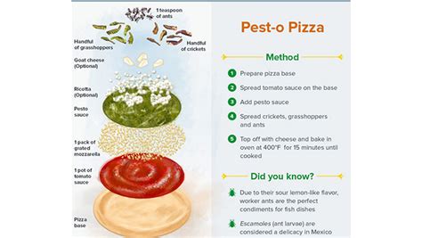 The Benefits of Eating Insects - Quality Assurance & Food Safety