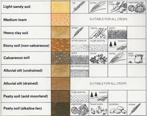 Soil Types and Agriculture | The Self-Sufficiency DIY Info Zone