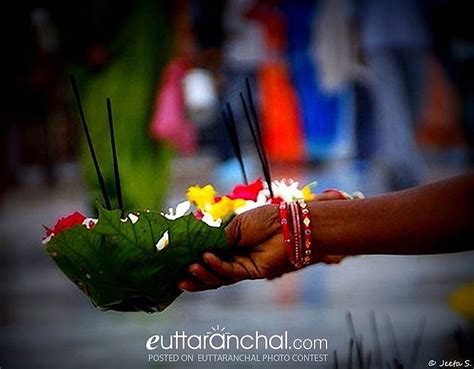 A Handful of Flowers - Uttarakhand Photos