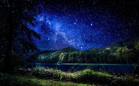 1920x1080px, 1080P free download | Magical night, stars, magic, bonito, trees, dream, sky, blue ...