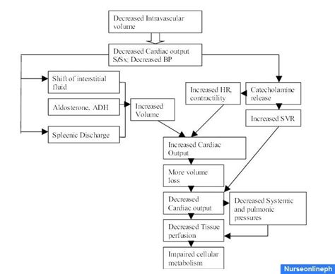 Hypovolemic Shock Pathophysiology | pathophysiology of hypovolemic ...