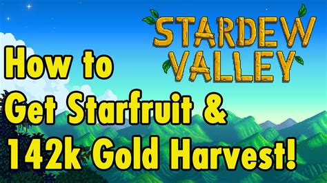 How to get Starfruit Seeds and 142k Harvest - Stardew Valley ...