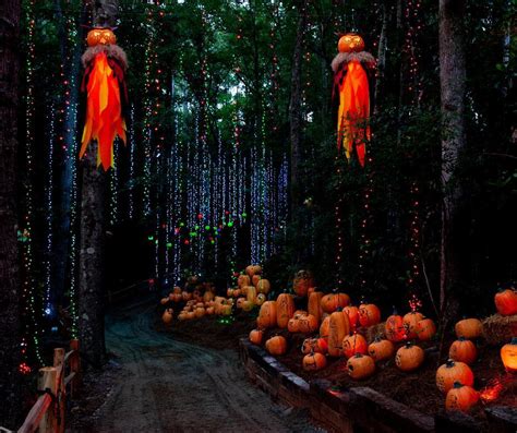 This Illuminous Pumpkin Bash Has Magically Transformed Callaway Gardens ...