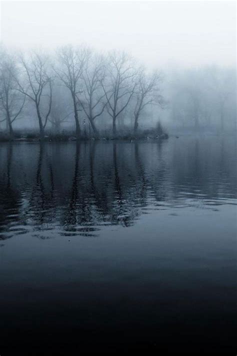 Pin by Rebecca on Animals + Nature | Dark photography, Gloomy day, Scenery