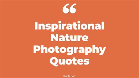 7+ Eye-Opening Inspirational Nature Photography Quotes That Will ...