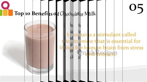 top 10 Benefits of Chocolate Milk | Benefits of chocolate milk, Milk health, Chocolate milk