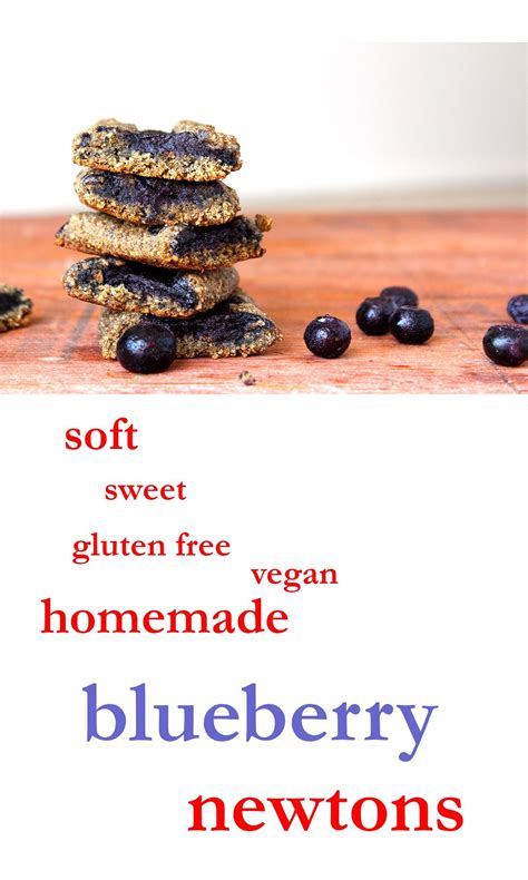 Blueberry Newtons (homemade fig newtons) - | Recipe | Homemade fig ...