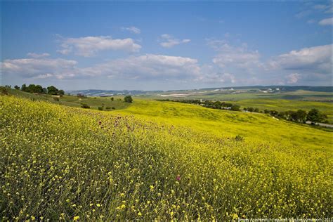 Ukraine Wallpapers - Wallpaper Cave