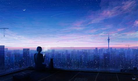 Anime, Girl, Cat, City, Night, HD wallpaper | Peakpx