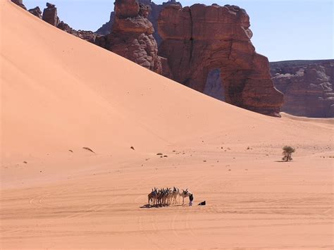 1000+ images about Desert so beautiful .. No doubt on Pinterest | Abu dhabi, Africa and Namib desert