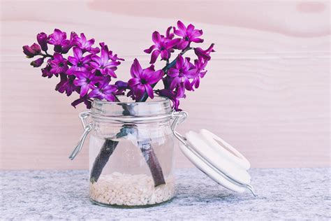 Using a Common Jar Bottle for a Beautiful Flower Vase | Photo Remodeling Analysis