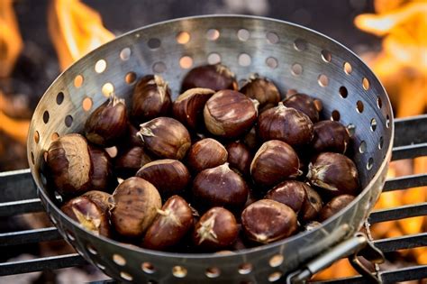 Grillée, en soupe ou en purée, la châtaigne enchante nos automnes | Actu