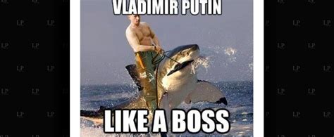 29 Funny Vladimir Putin Memes Ideas Memes Vladimir Vladimir Putin ...