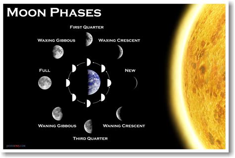 Moon Phases - Classroom Science Poster: Buy Online in UAE at desertcart